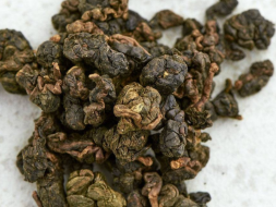 Jin Xuan Long Yang Mu, AA, 2020