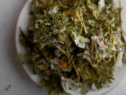 Zbiórka ziół Do kąpieli, 2024