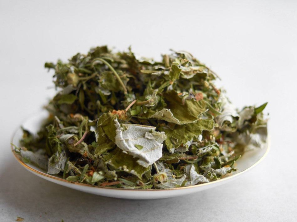 Zbiórka ziół Do kąpieli, 2024