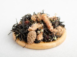 Zbiórka ziół Oddech Lasu, 2024