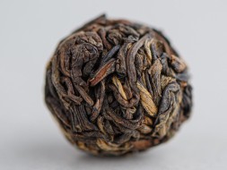 Shai Hong Long Zhu w kulkach, АА, 2024