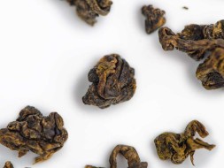 GABA Lu Gu, АА, 2019