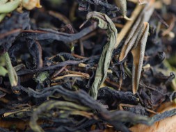 Zbiórka ziół Orzeźwiająca, 2024