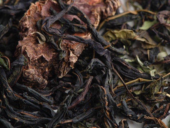 Zbiórka ziół Sibiryak (dla mężczyzn), 2024