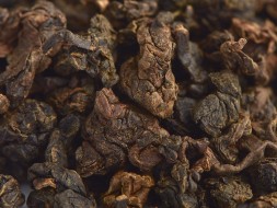 GABA Nantou, AA, 2019