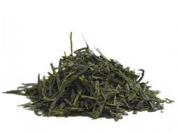 Kabuse Sencha, AAA, 2025