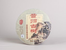 Shu Pu Erh Xigui Gu Shu (Wielkie drzewa z Xigui), АА, 2009