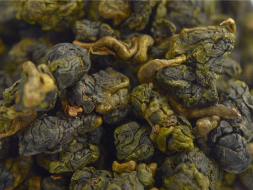 Shan Ling Xi (Strumień lasu iglastego), AAA, 2021