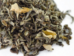 Moli Bitan Piao Xue (Wirujący jaśminowy śnieg), АА, 2024