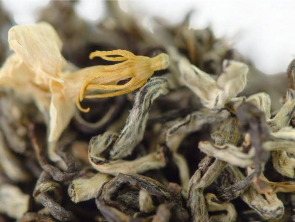 Moli Bitan Piao Xue (Wirujący jaśminowy śnieg), АА, 2024