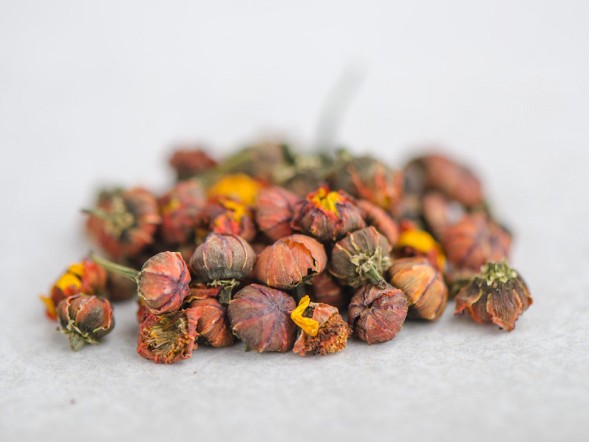 Gao Shan Ju Xue (Kwiaty chryzantemy), 2024