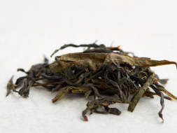 Da Wu Ye Dan Cong (Pojedyncze krzewy z dużymi ciemnymi liśćmi), AA, 2022