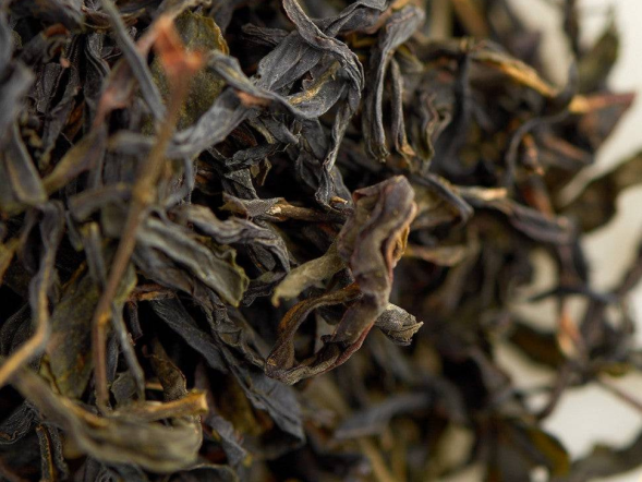 Da Wu Ye Dan Cong (Pojedyncze krzewy z dużymi ciemnymi liśćmi), AA, 2022