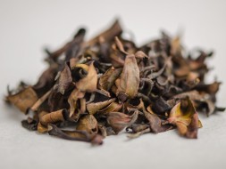 Gu Shu Bai Cha Dziki biały (z 500-letnich drzew), ААА, 2024