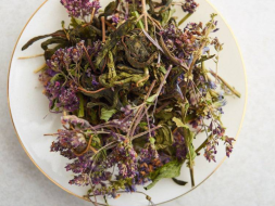 Zbiórka ziół ałtajskich Kwiatowe marzenie, 2024