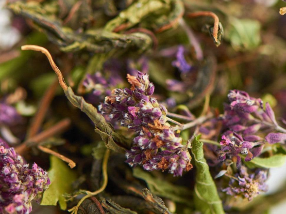 Zbiórka ziół ałtajskich Kwiatowe marzenie, 2024