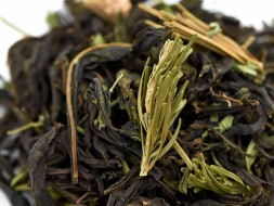 Zbiórka ziół ałtajskich Tajga, 2024