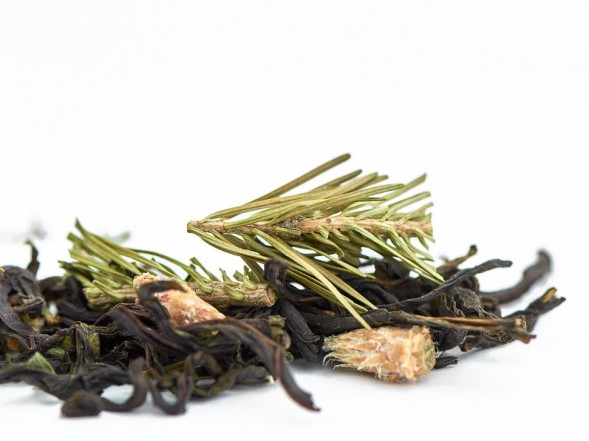 Zbiórka ziół ałtajskich Tajga, 2024