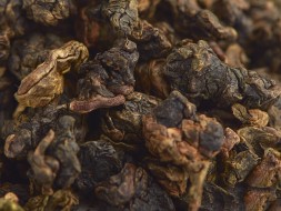 GABA Taoyuan, AA, 2025