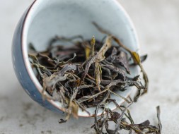 Herbata zielona Ratna, A, Gruzja, 2024