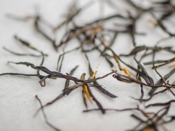 Zhong Guo Hong Strawberry, AAA, 2024