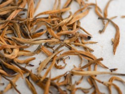 Dian Hong Da Jin Ya, ААА, 2025