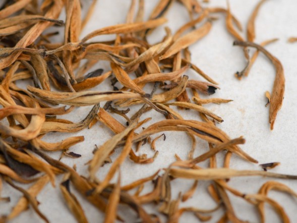 Dian Hong Da Jin Ya, ААА, 2025