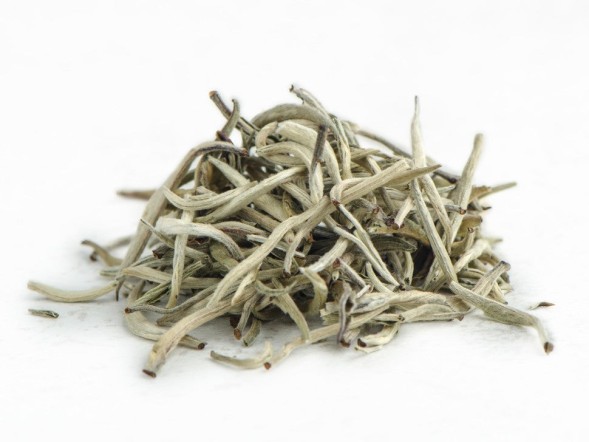 Gu Shu Bai Ya (Białe pączki ze starożytnych drzew), AA, 2024 