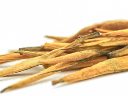 Dian Hong Da Jin Zhen Wang, AAA, 2025