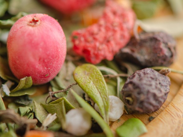 Napój herbaciany Herbata Venus Berry, А, 2024