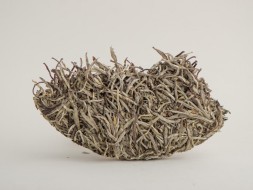 Bai Hao Yin Zhen (Srebrne igły), AAA, 2016