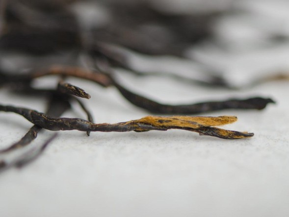 Berry Sour, Zhong Guo Hong, АА, 2025