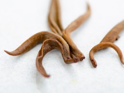 Dian Hong Jin Lo, AAA, 2025