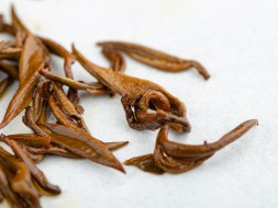 Dian Hong Jin Lo, AAA, 2025