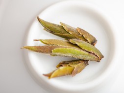 Gu Shu Ye Sheng Zi Ya Bao (Szmaragdowo-purpurowy z Fengqing), AAA, 2024