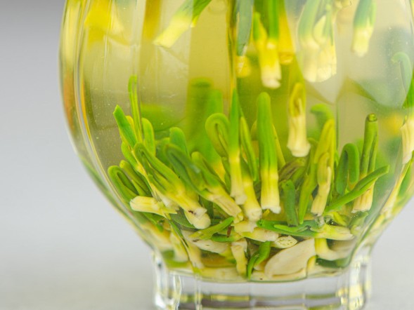 Kiełki lotosu, 2024