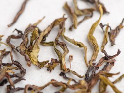 Bai Ji Guan (Biały grzebień koguta) od mistrza Li Jin Luna, ААА, 2022