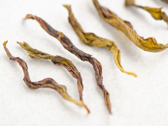 Bai Ji Guan (Biały grzebień koguta) od mistrza Li Jin Luna, ААА, 2022