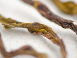 Bai Ji Guan (Biały grzebień koguta) od mistrza Li Jin Luna, ААА, 2022