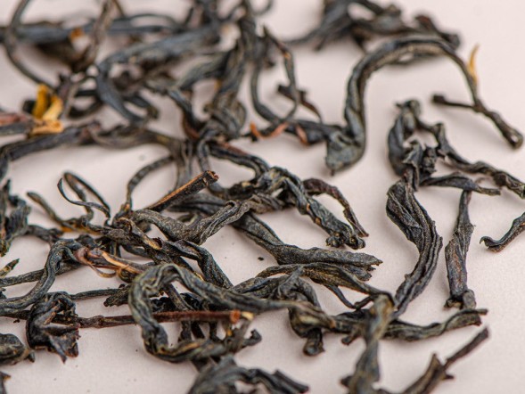 Dian Hong Kao Xiang, A, 2024