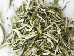 Bai Jian Gu Shu (Białe ostrza ze starych drzew), AA, 2024