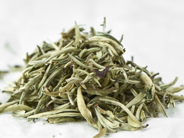 Bai Jian Gu Shu (Białe ostrza ze starych drzew), AA, 2024