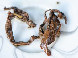 GABA Namoczone jabłko, fabryka Ji Bian, AAA, 2025