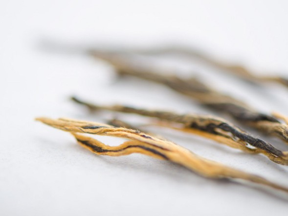 Dian Hong Song Zhen, A, 2025