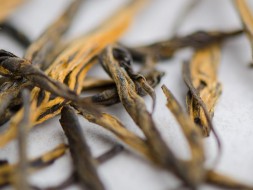 Dian Hong Song Zhen, A, 2025