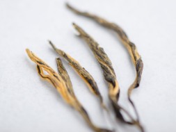 Dian Hong Song Zhen, A, 2025