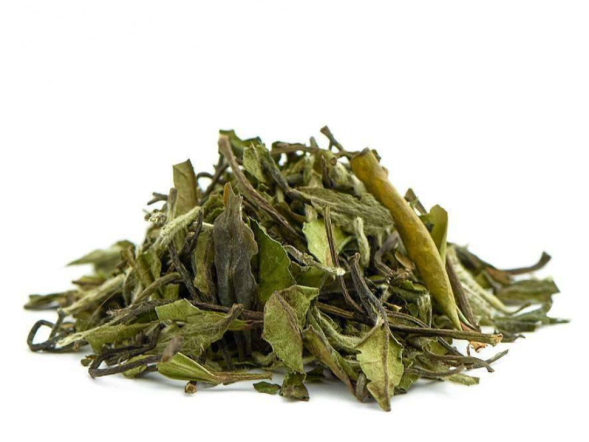 Bai Mu Dan Wang (Biała piwonia), AA, 2023