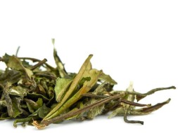 Bai Mu Dan Wang (Biała piwonia), AA, 2023