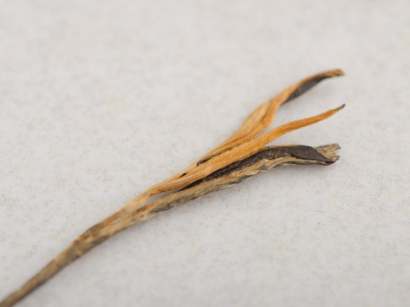 Dian Hong Song Zhen, AA, 2024