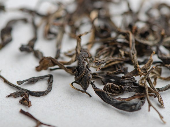 Sheng Pu Erh Gu Shu Mao Cha Da Ye (500-letnie drzewa), ААА, 2023